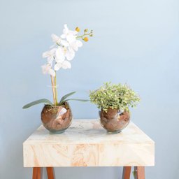 Kit com 2 Arranjos Flor Artificial Orquídea Branca e Peperômia no Vaso de Vidro - 2