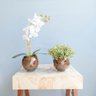 Kit com 2 Arranjos Flor Artificial Orquídea Branca e Peperômia no Vaso de Vidro - 2