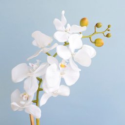 Kit com 2 Arranjos Flor Artificial Orquídea Branca e Peperômia no Vaso de Vidro - 4