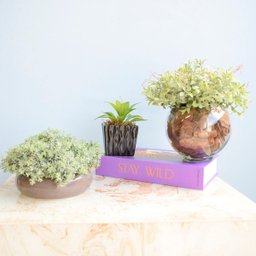 Arranjo de Folhagem no Vaso Cerâmica Cinza Baixo | Linha Permanente Formosinha - 3