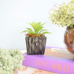 Arranjo de Suculenta Artificial no Vaso de Cerâmica Preto | Formosinha - 1