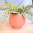 Ver imagem 3 de Arranjo de Samambaia Toque Real no Vaso Cumbuca Terracota P