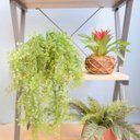 Ver imagem 5 de Arranjo de Folhagem Pendente Artificial No Vaso Cumbuca Cinza