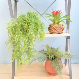 Arranjo de Folhagem Pendente Artificial No Vaso Cumbuca Cinza - 3