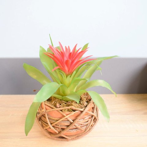 Arranjo de Flor Artificial Bromélia Vermelha no Vaso de Cerâmica Com Cipó