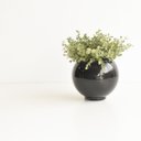 Ver imagem 6 de Arranjo de Folhagem Eucalipto Artificial no Vaso de Vidro Preto |linha Permanente Formosinha