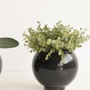 Ver imagem 5 de Arranjo de Folhagem Eucalipto Artificial no Vaso de Vidro Preto |linha Permanente Formosinha