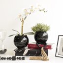 Ver imagem 4 de Arranjo de Folhagem Eucalipto Artificial no Vaso de Vidro Preto |linha Permanente Formosinha