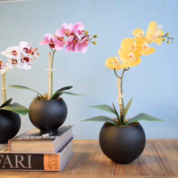 Arranjo de Flor Artificial Orquídea Amarela no Vaso de Vidro Preto Fosco | Linha Permanente - 5