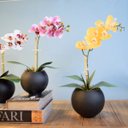 Ver imagem 5 de Arranjo de Flor Artificial Orquídea Amarela no Vaso de Vidro Preto Fosco | Linha Permanente