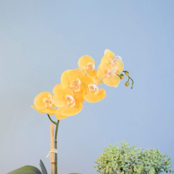 Arranjo de Flor Artificial Orquídea Amarela no Vaso de Vidro Preto Fosco | Linha Permanente - 2