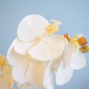 Ver imagem 4 de Arranjo de Flor Artificial Orquídea Branca no Vaso de Vidro Preto Fosco | Linha Permanente