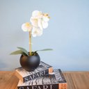 Ver imagem 5 de Arranjo de Flor Artificial Orquídea Branca no Vaso de Vidro Preto Fosco | Linha Permanente