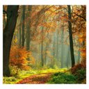 Ver imagem 2 de Papel de Parede Paisagem Floresta Natureza Sala Painel - 055pcp