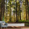 Papel de Parede Paisagem Floresta Natureza Sala Painel - 065pcp - 1