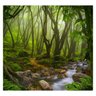 Papel de Parede Paisagem Floresta Natureza Sala Painel - 074pcp - 2