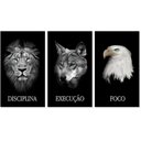 Ver imagem 1 de Quadros Decorativos de Pvc Disciplina Execução e Foco Animais - 50 X 75 Cm