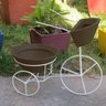 BICICLETA COM VASOS PLANTA TRICICULO JARDIM FLORES BGPLASTICOS BGCI AREIA 001 - 2
