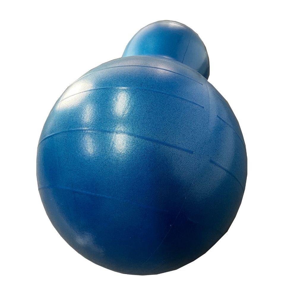 Bola Feijão para Pilates e Fisioterapia Com Bomba Yangfit - 3