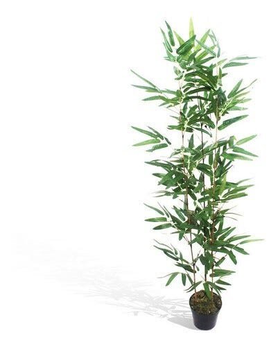 Bambu Áurea Verde Semi-Artificial (Fixado com Gesso em Vaso Plástico) - 1