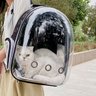 Mochila Pet Visao Panoramica Astronauta Gato Cachorro Bolso Ventilado Alça Regulavel Passeio Caminha - 5