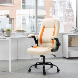 YAMASORO Cadeira Escritório Ergonomica Lombar de Apoio Cadeira Giratoria com Rodas e Apoio de Braço - 1