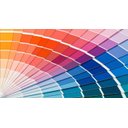 Ver imagem 4 de Tinta Para Parede 3,2/3,6l Suvinil Clássica Escolha Sua Cor - E237 Vela Aromatizada