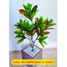 Planta Artificial Árvore CROTON ESTILÉ 1,25 metros de altura - 4