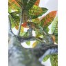 Planta Artificial Árvore CROTON ESTILÉ 1,25 metros de altura - 2