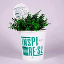 Ver imagem 1 de BALDE CACHEPOT E PLACA DE JARDIM ESSENCIA INSPIRE SE