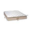 Ver imagem 6 de Colchão Casal Molas Ensacadas Exclusif 138x188x30 - Sankonfort