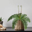 Ver imagem 1 de 4 Unidades de Samambaia Artificial Decorativa 55cm Verde Realista