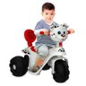 Triciclo Elétrico - Scooter Pet Doggy - Bandeirante BAND2683 - 3