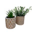 Ver imagem 3 de Conjunto de dois vasos de cimento com rose gold