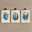 Ver imagem 2 de Kit 3 Quadro Decorativo Medicina Flores Consultório Placa 28x20cm