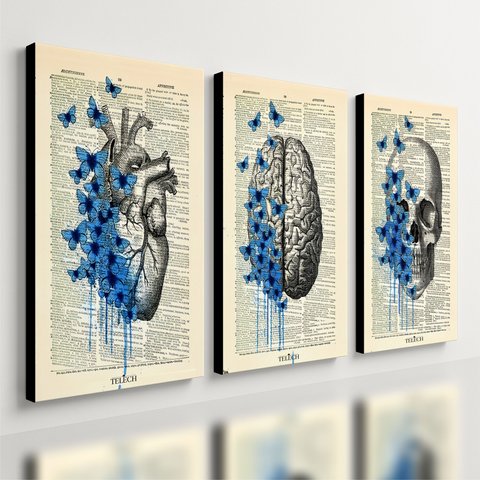 Kit 3 Quadro Decorativo Medicina Flores Consultório Placa 28x20cm