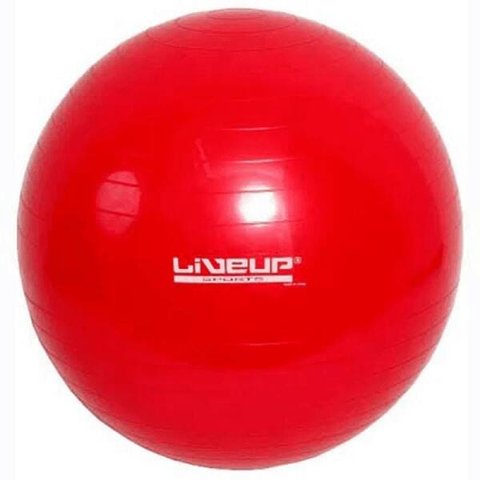 Bola Suíça Pilates Yoga Ginástica 45 cm + DVD Treinamento