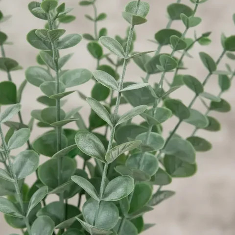 Eucalipto Ramos Verdes Permanentes Artificiais Toque Real