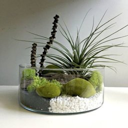 Vaso Redondo Floreira Terrario Cilindro em Vidro Suculentas, Arranjos 24x20cm - 3