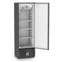 Ver imagem 3 de Visa Cooler Cervejeiro Porta Sólida -5,5 a 4 ºc 400l Vcce400ps 220v - Refrimate