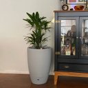Ver imagem 5 de Vaso Cone Vietnamita (55x38) Cor Cimento Brota