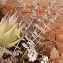 Ver imagem 5 de Buquê Majestoso de Proteas e Folhas Envelhecidas Artificial 70cm | Beleza Atemporal na Formosinha