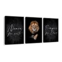 Ver imagem 1 de Kit 3 Quadros Decorativos Leão Frase Nunca Foi Sorte P Sala