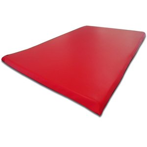 Colchonete Casal Dobravel Impermeavel Orthovida - Vermelho