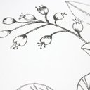 Ver imagem 3 de Papel de Parede Floral Preto e Branco com Cola Inclusa
