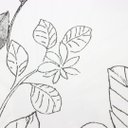 Ver imagem 7 de Papel de Parede Floral Preto e Branco com Cola Inclusa