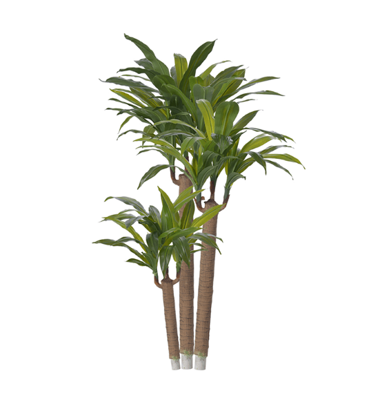 Planta Árvore Artificial Dracena Pau D'água Verde Escuro Real Toque 1,2m