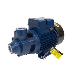 Motobomba Periférica Eletroplas Ics-100ab Bivolt - 1