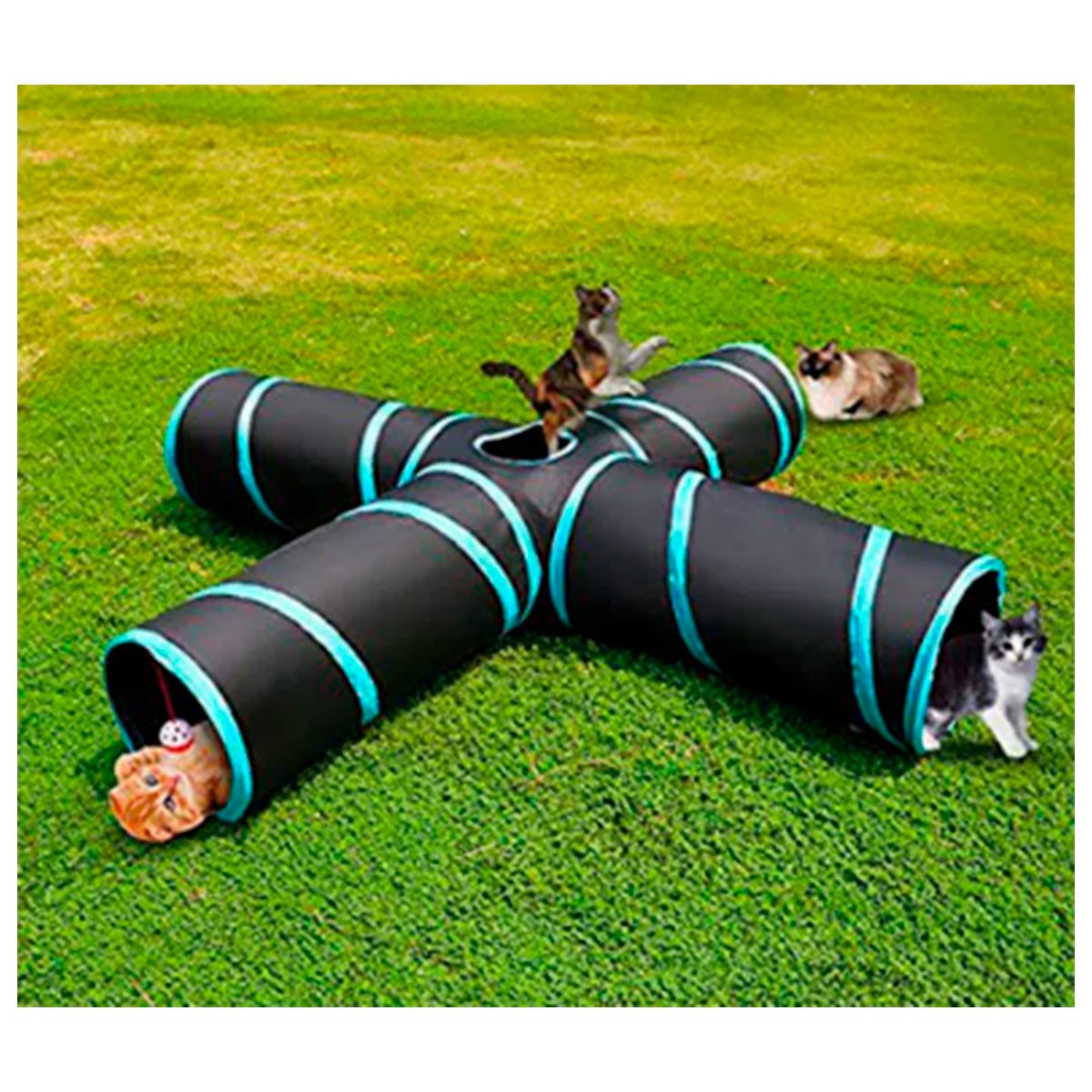Túnel Diversão Pet Cachorro Cão e Gatos Colorido 140 cm x 25 cm Genuinos Túnel de Diversão Pet - 5