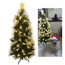 Ver imagem 1 de Arvore Natal Fibra Otica Completa Natalina Estrela Led Luz Decoraçao Iluminada Casa Loja Festa Event